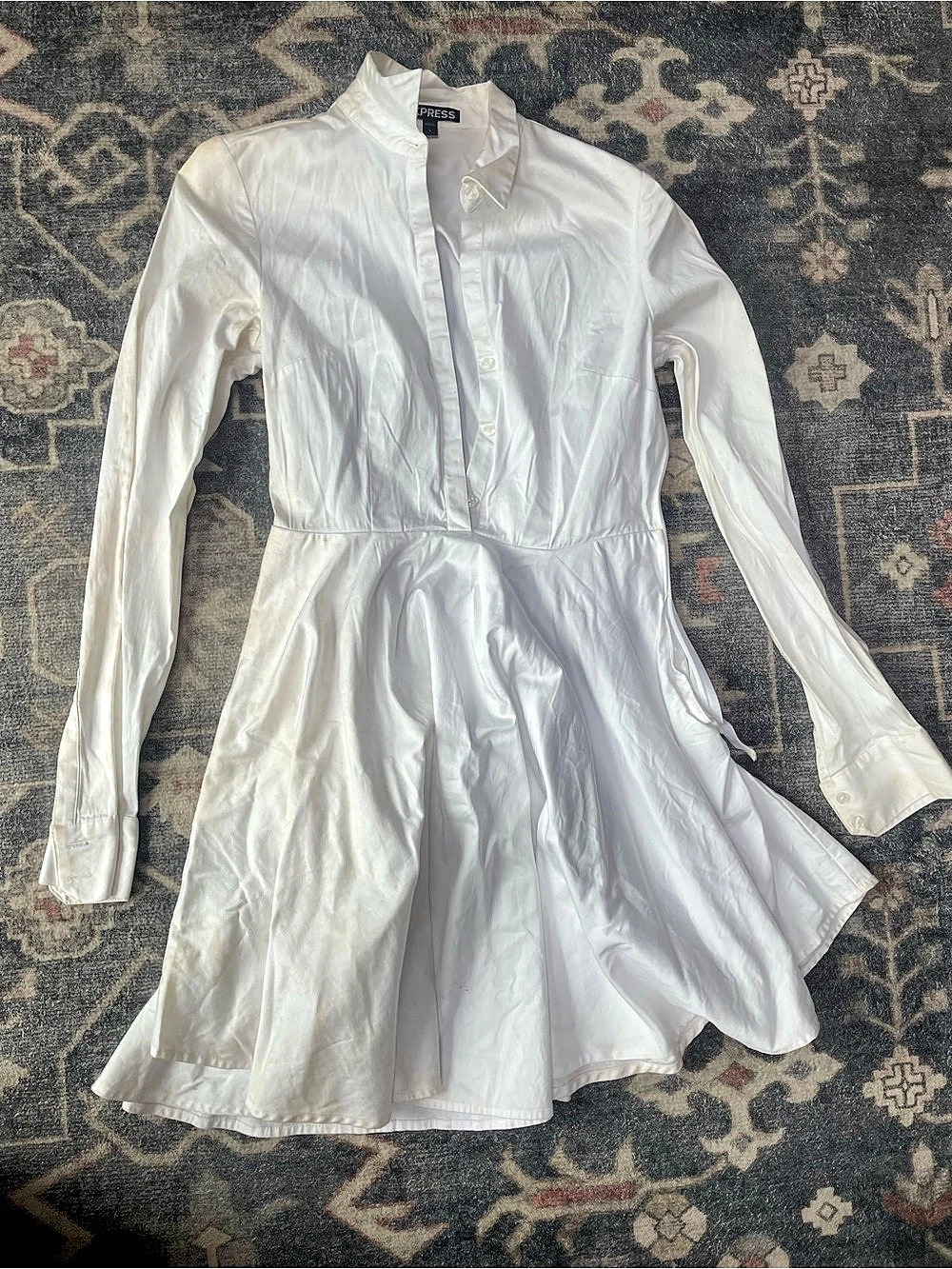 Express Long Sleeve Mini Dress